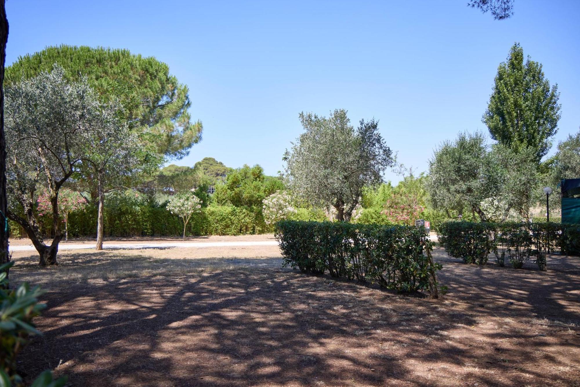 Costa D'Argento - Camping Village Club Capalbio Dış mekan fotoğraf
