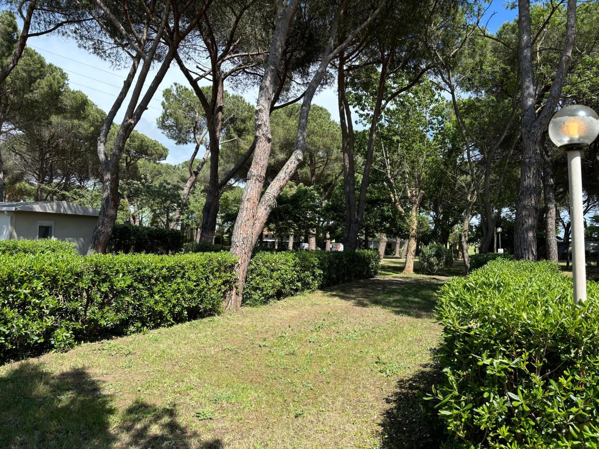 Costa D'Argento - Camping Village Club Capalbio Dış mekan fotoğraf